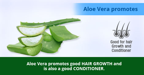 Aloe Vera promotes
