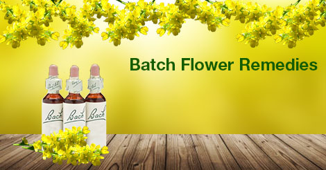 Batch Flower Remedies