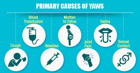 Causative Agent & Transmission of Yaws