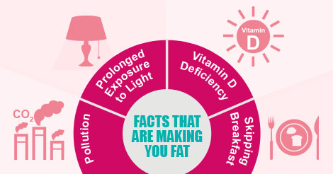 Lesser Known Facts That Are Making You Fat