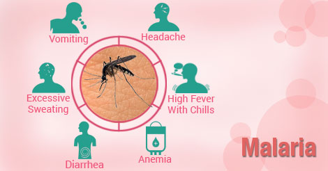 When was malaria first discovered?