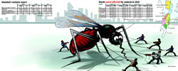 Malaria Losing Its Sting in Mumbai