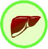 Gastroenteritis & Hepatitis Now Major Worries Gastroenteritis & Hepatitis Now Major Worries