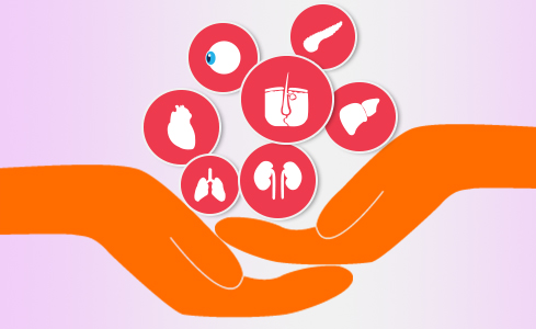 All You Need To Know about Organ Donation All You Need To Know about Organ Donation