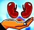 Organ Donation Hits Rock Bottom in City Organ Donation Hits Rock Bottom in City